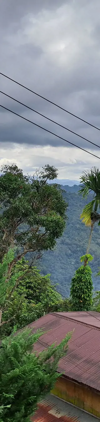 Borneo – magischen Tierbegegnungen auf der riesengrossen Insel